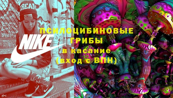 сатива Медногорск