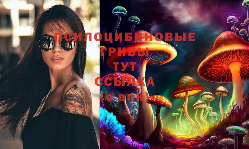 Галлюциногенные грибы Cubensis купить наркотик Аксай
