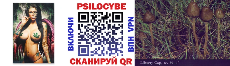 купить цена Аксай Галлюциногенные грибы Psilocybine cubensis