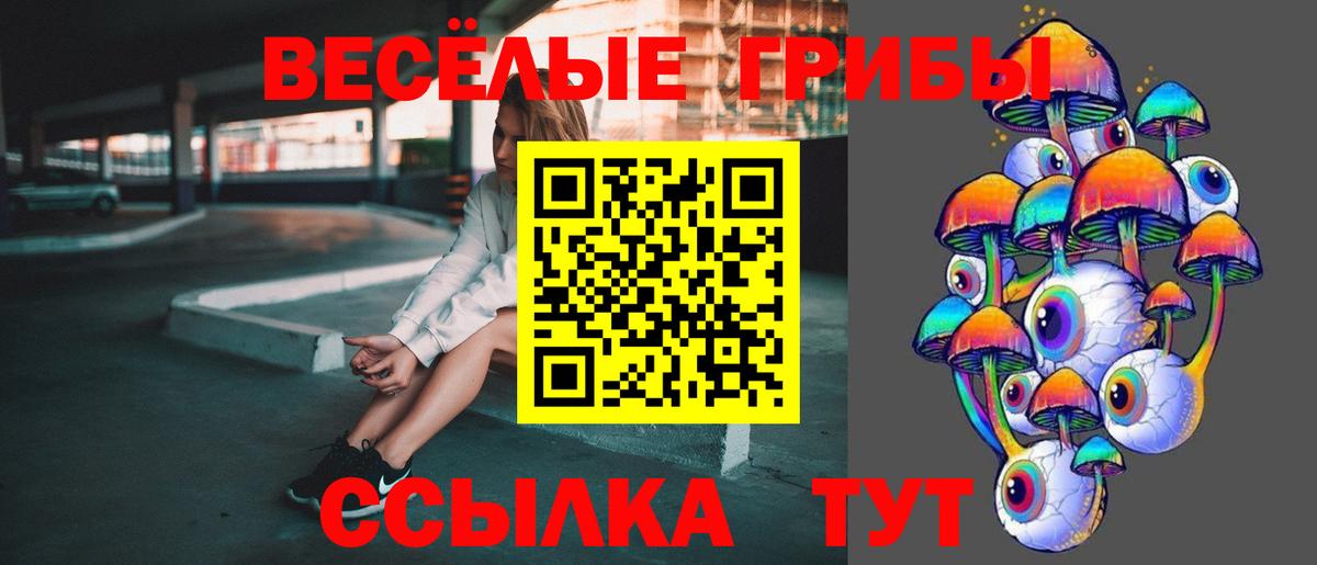 Аксай  Галлюциногенные грибы мицелий  Вход с VPN 